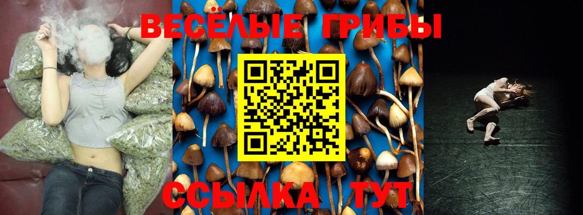 Галлюциногенные грибы Cubensis Саянск